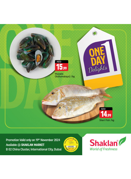 One Day Offers - B02 China Cluster, Dubai
