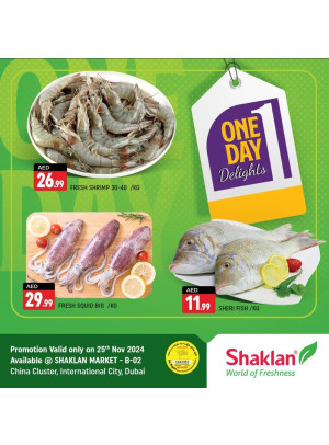 One Day Offers - B02 China Cluster, Dubai