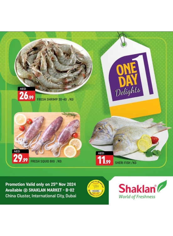 One Day Offers - B02 China Cluster, Dubai
