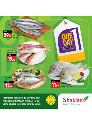 One Day Offers - B02 China Cluster, Dubai