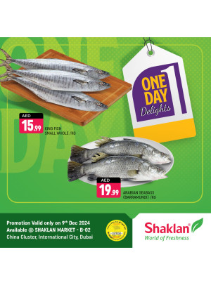 One Day Offers - B02 China Cluster, Dubai