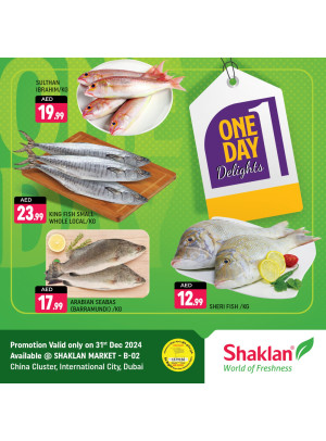 One Day Offers - B02 China Cluster, Dubai