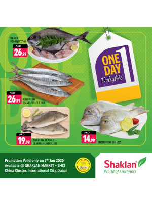 One Day Offers - B02 China Cluster, Dubai