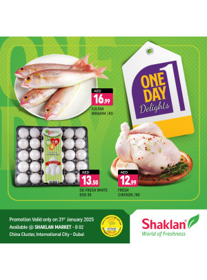 One Day Offers - B02 China Cluster, Dubai