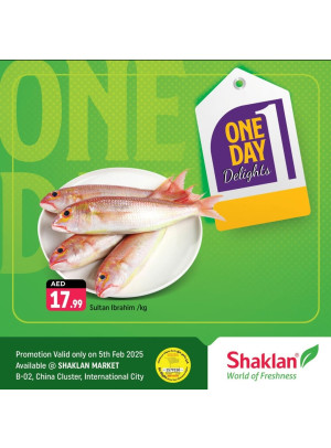One Day Offers - B02 China Cluster, Dubai