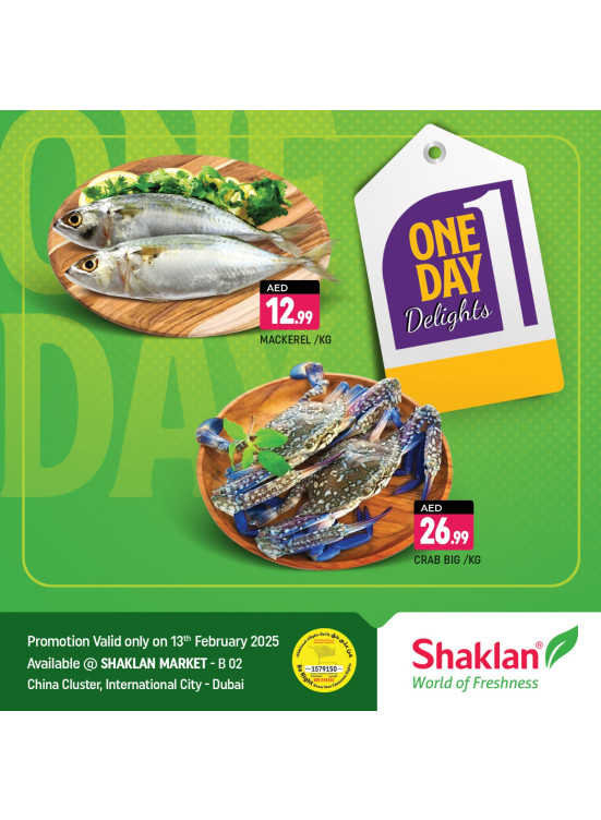One Day Offers - B02 China Cluster, Dubai
