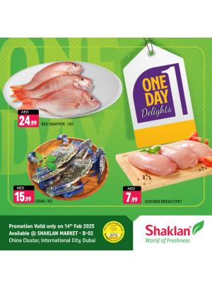 One Day Offers - B02 China Cluster, Dubai