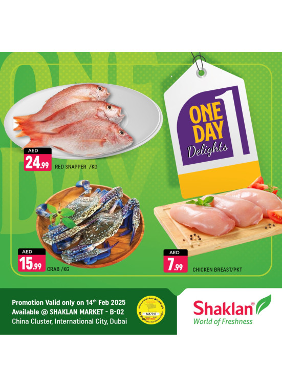 One Day Offers - B02 China Cluster, Dubai