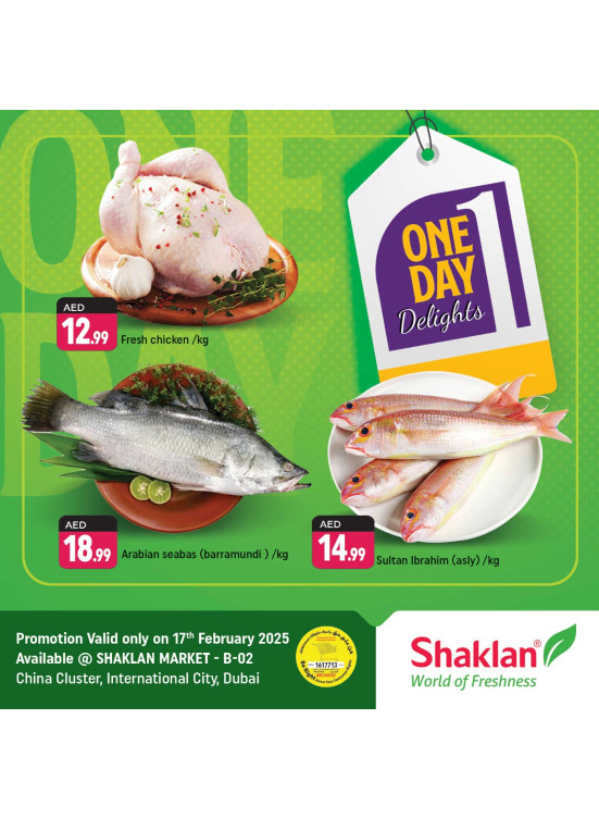 One Day Offers - B02 China Cluster, Dubai