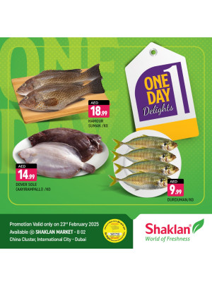 One Day Offers - B02 China Cluster, Dubai