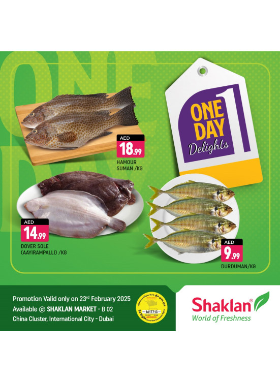 One Day Offers - B02 China Cluster, Dubai