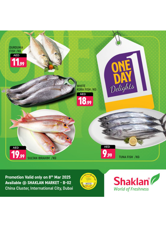 One Day Offers - B02 China Cluster, Dubai