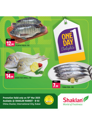 One Day Offers - B02 China Cluster, Dubai