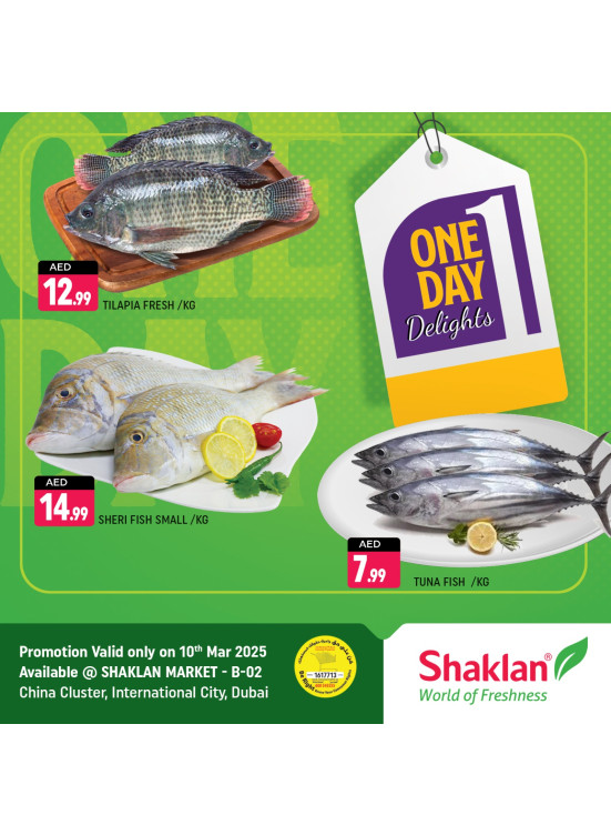One Day Offers - B02 China Cluster, Dubai