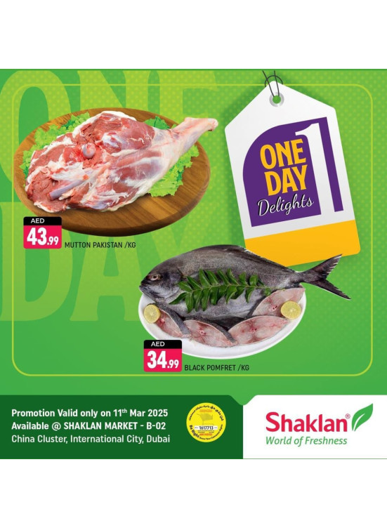 One Day Offers - B02 China Cluster, Dubai