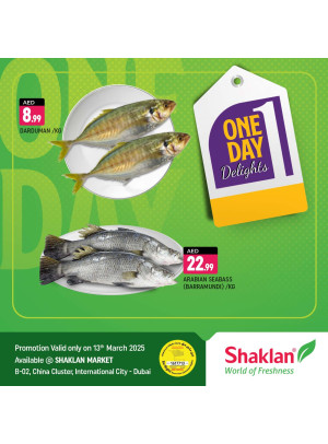 One Day Offers - B02 China Cluster, Dubai