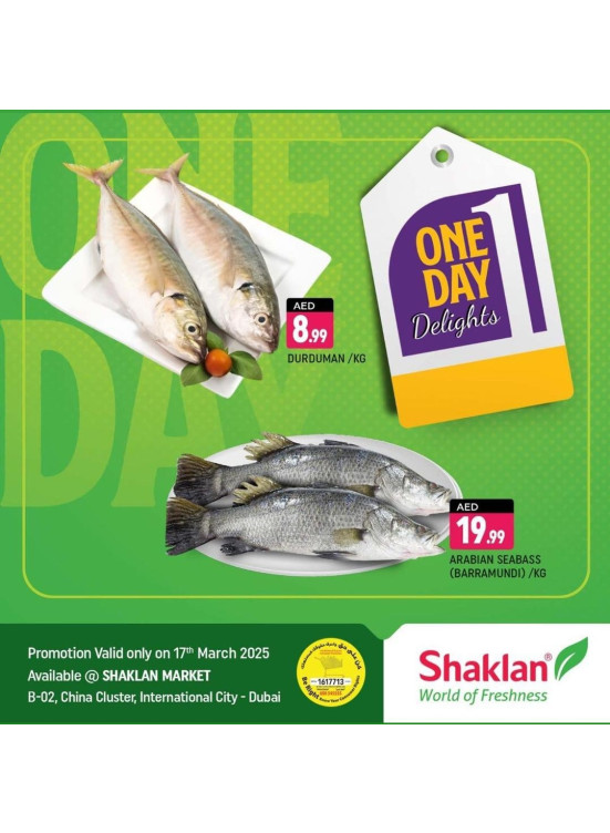 One Day Offers - B02 China Cluster, Dubai