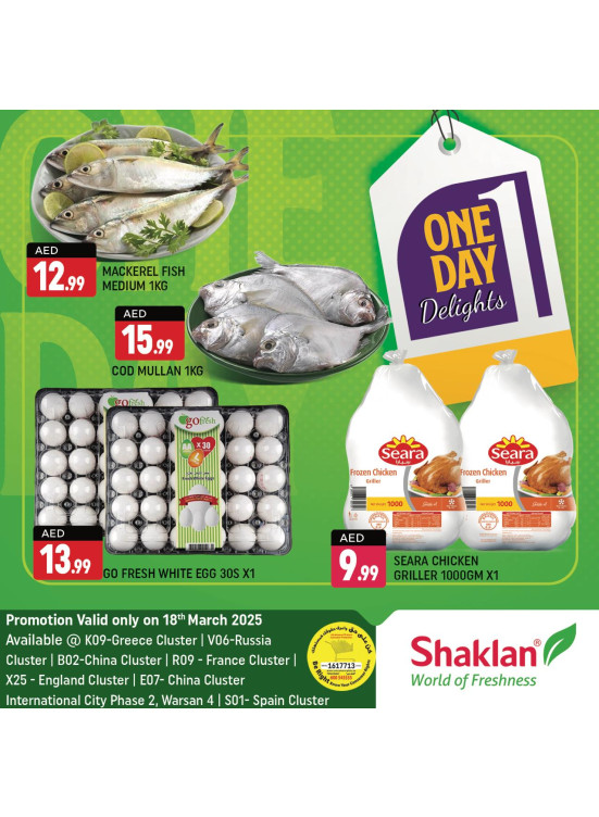 One Day Offers - B02 China Cluster, Dubai
