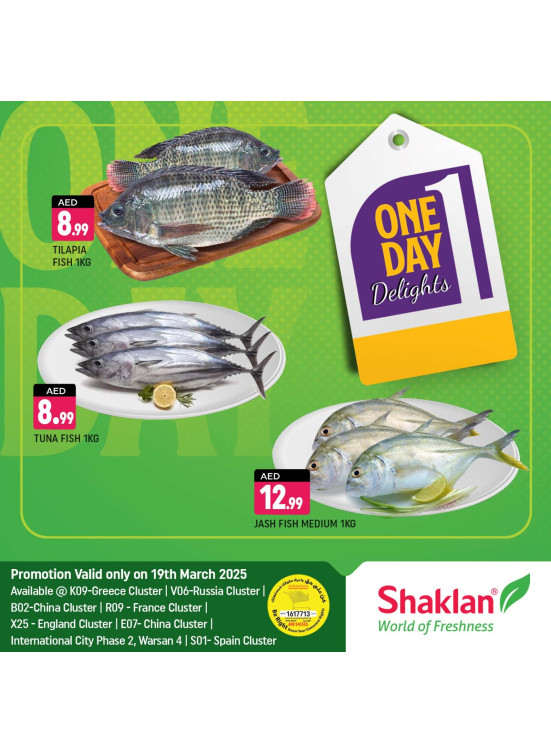 One Day Offers - B02 China Cluster, Dubai