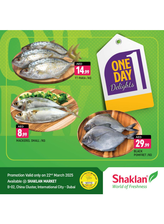 One Day Offers - B02 China Cluster, Dubai