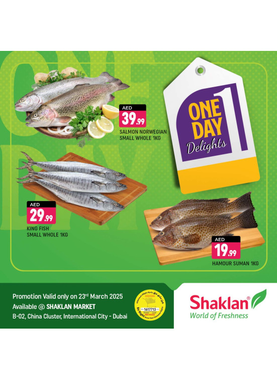 One Day Offers - B02 China Cluster, Dubai
