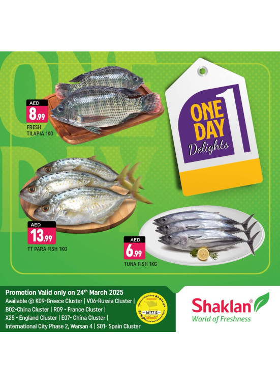 One Day Offers