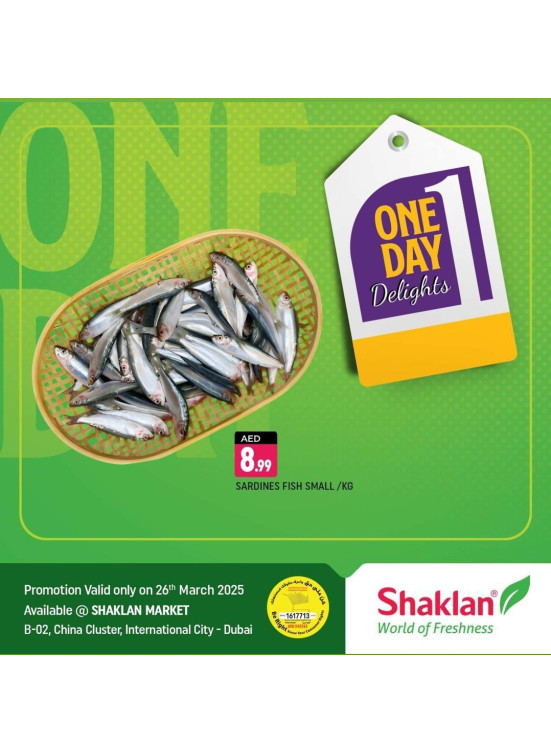 One Day Offers
