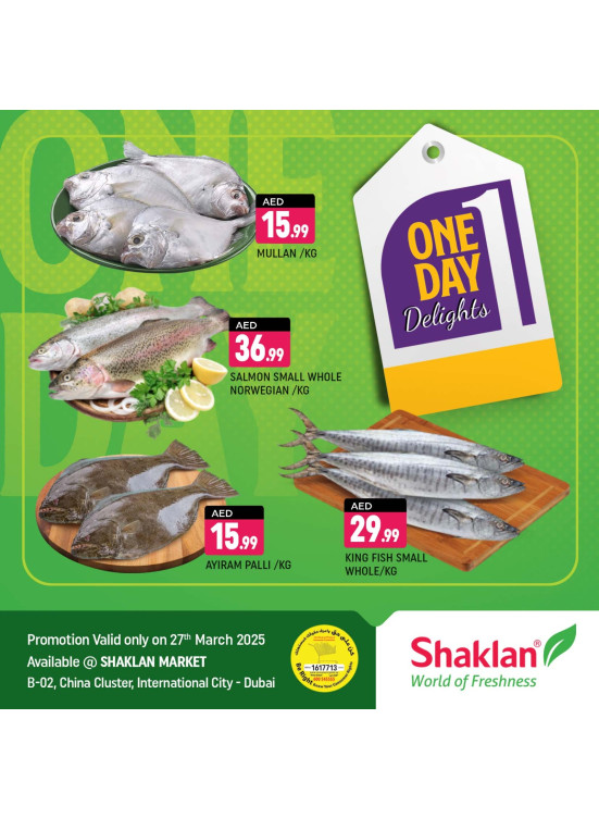 One Day Offers