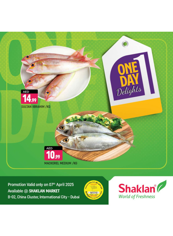 One Day Offers