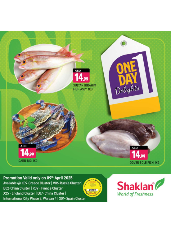 One Day Offers
