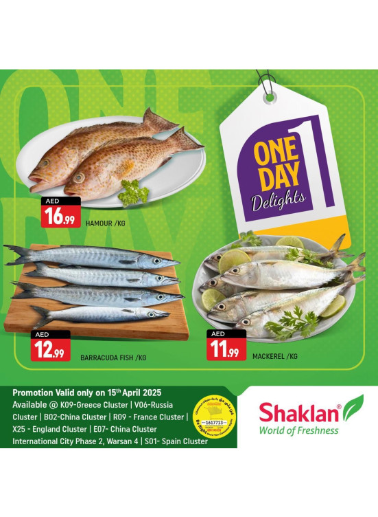 One Day Offers