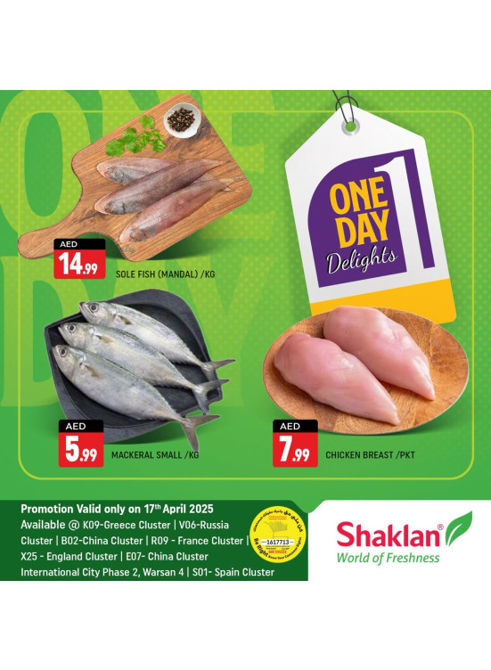 One Day Offers