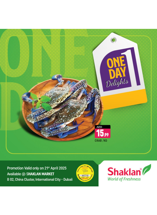 One Day Offers