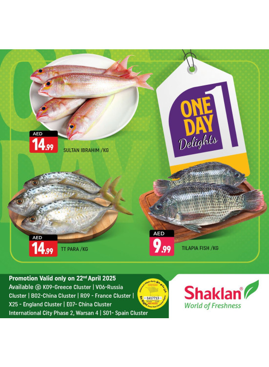 One Day Offers