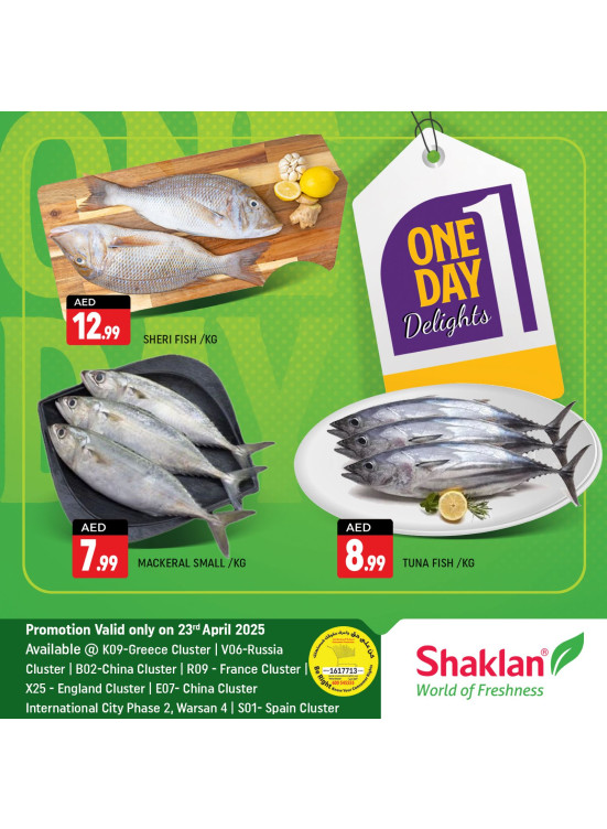 One Day Offers