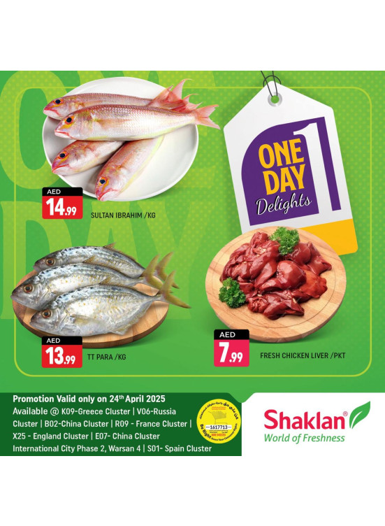 One Day Offers