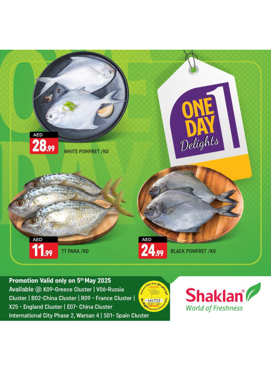 One Day Offers