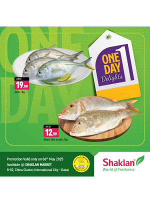 One Day Offers - B02 China Cluster, Dubai