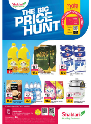 The Big Price Hunt - B02 China Cluster, Dubai