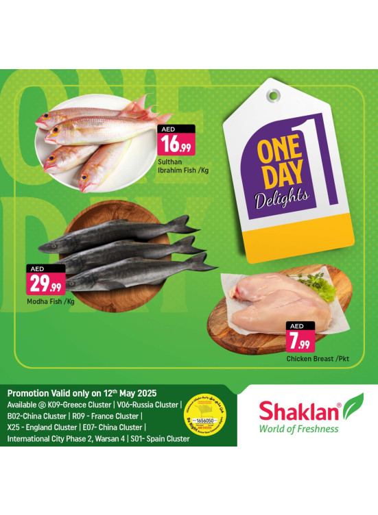 One Day Offers