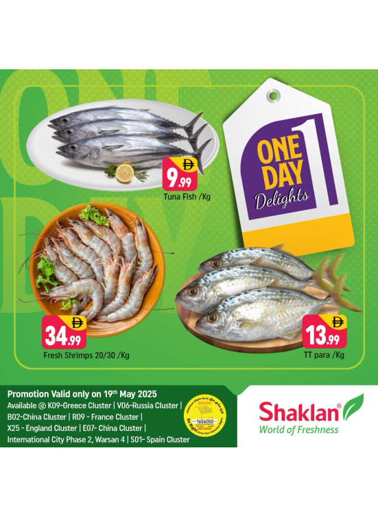 One Day Offers