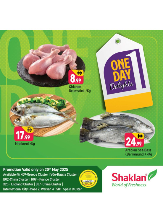 One Day Offers