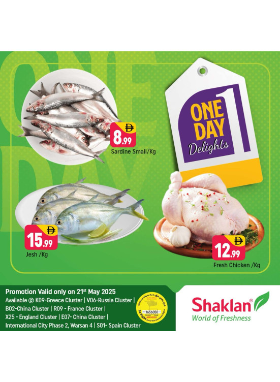 One Day Offers