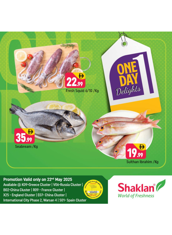 One Day Offers