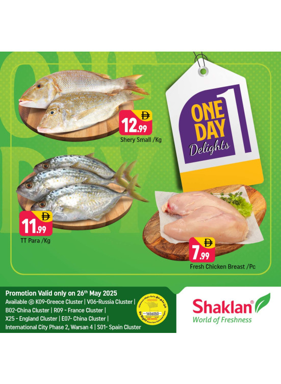 One Day Offers