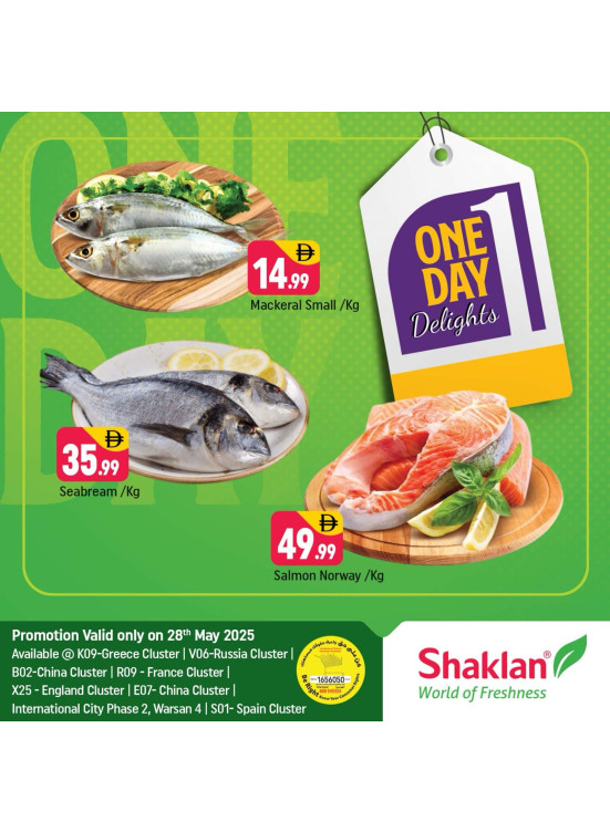 One Day Offers