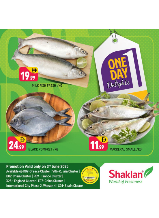 One Day Offers