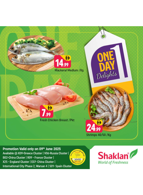 One Day Offers