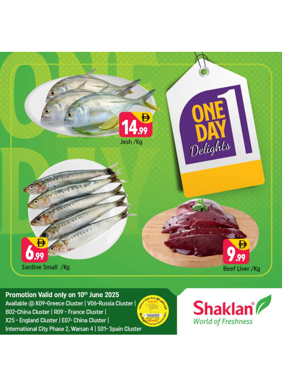 One Day Offers