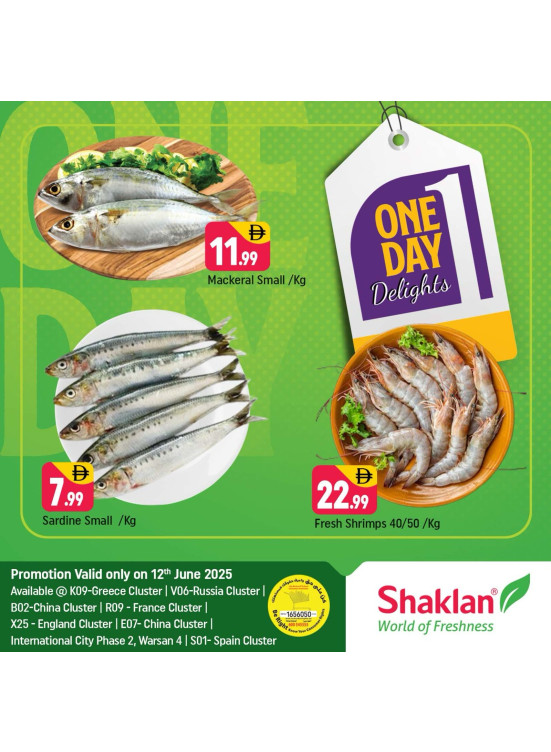 One Day Offers